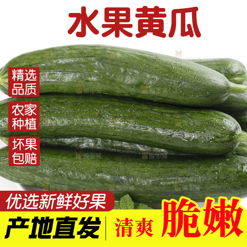 盘里装着新鲜黄瓜