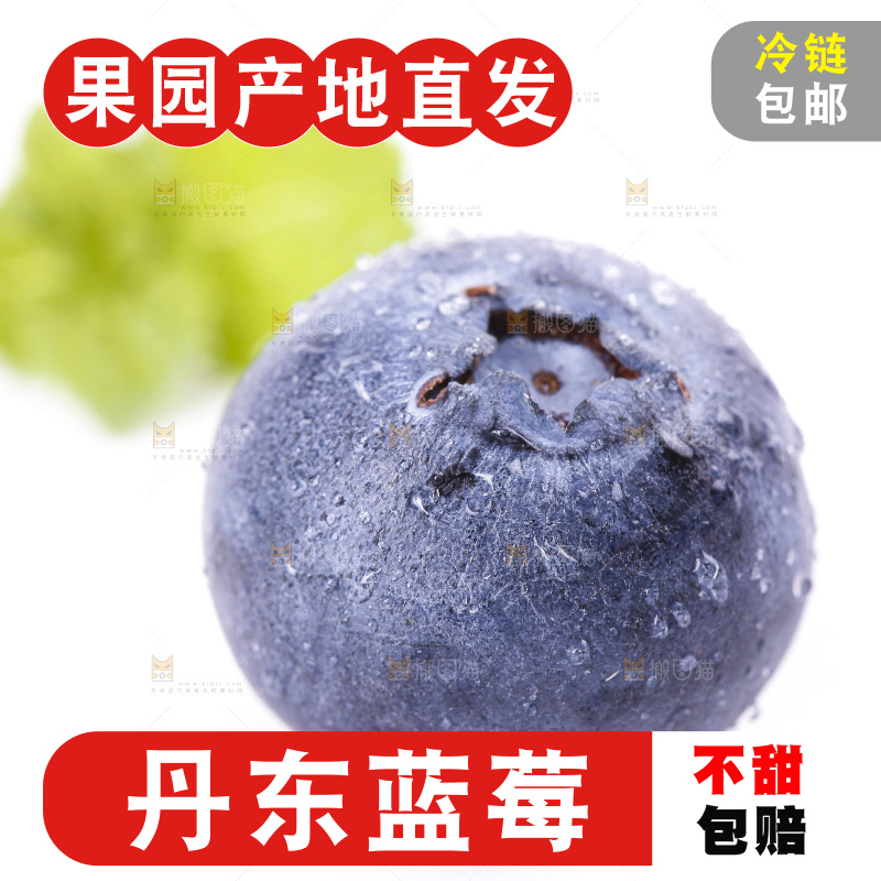 白底上摆放着蓝莓果