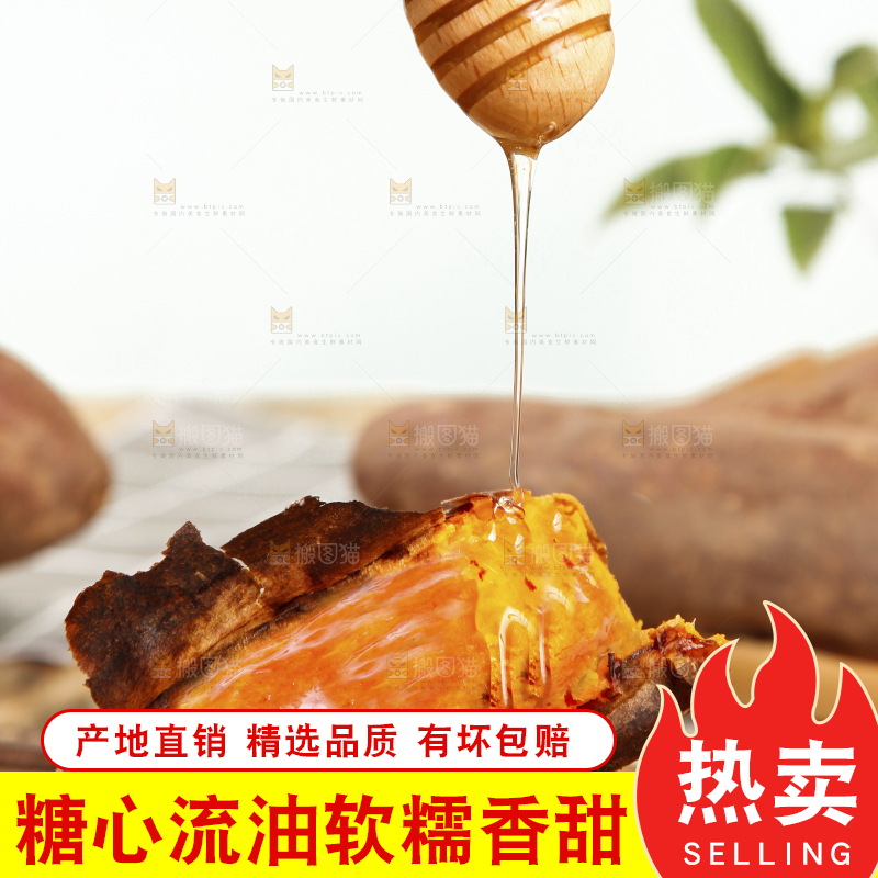 深底上的烟薯