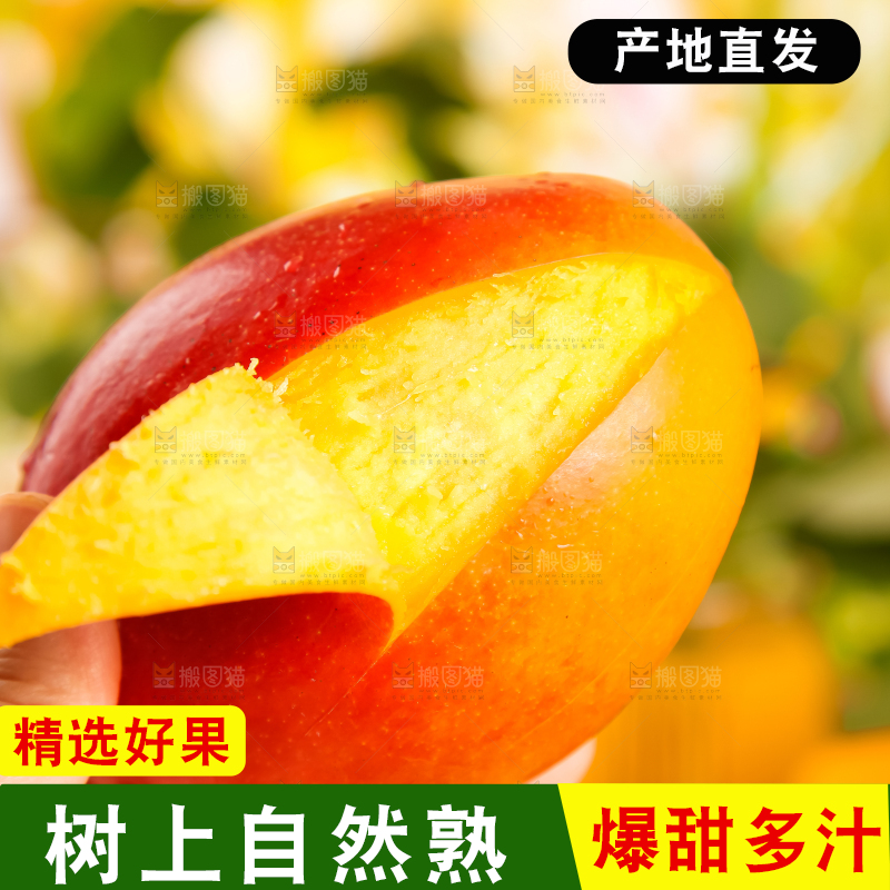 手里拿着吉禄芒果