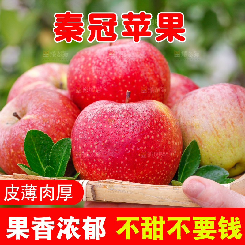 手里拿着秦冠苹果