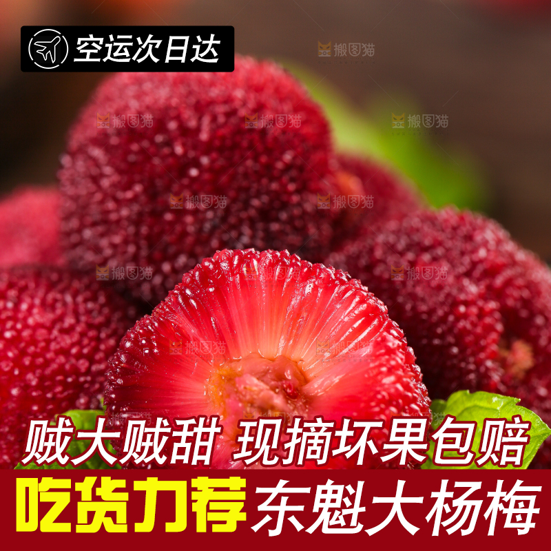 碟子里的仙居杨梅