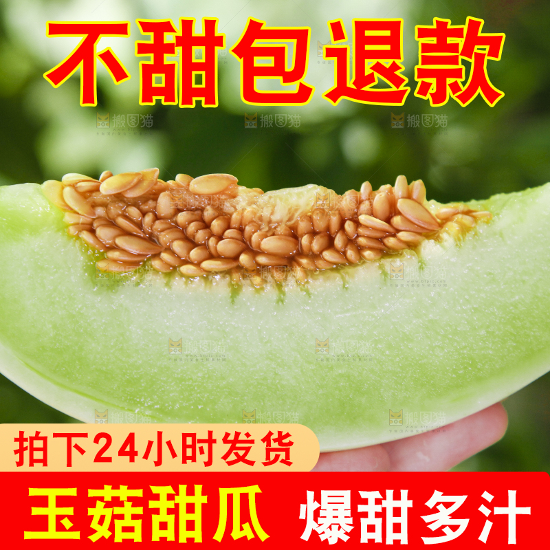 手里拿着山东玉菇甜瓜