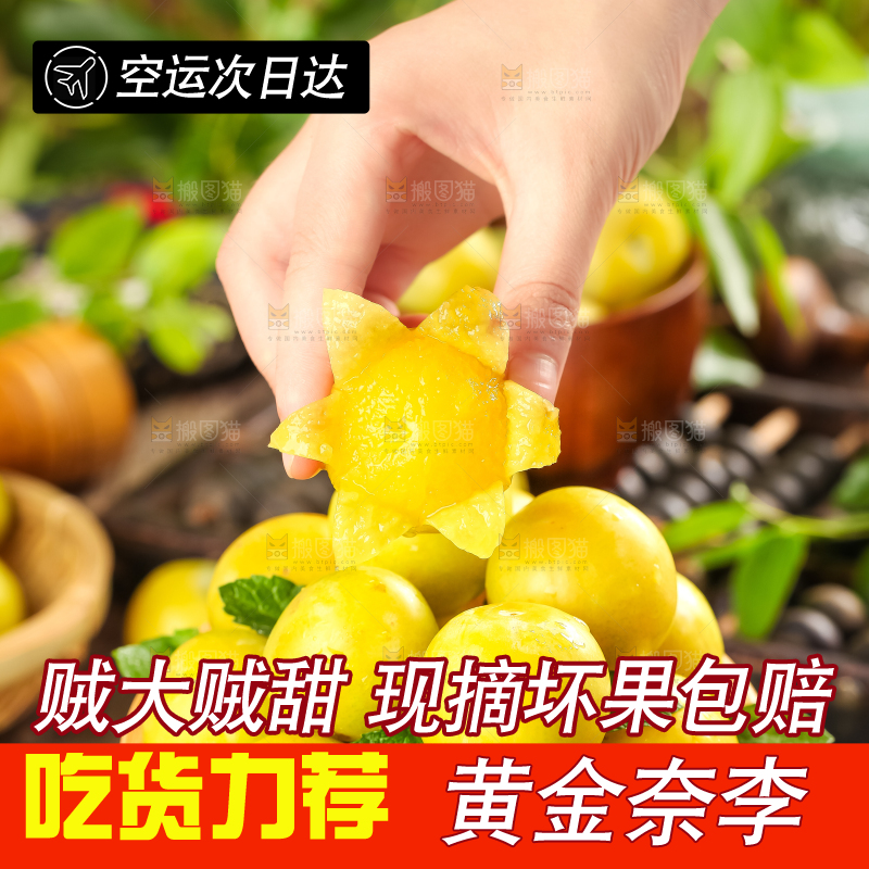 手里拿着黄金奈李