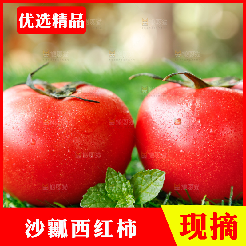 草地上的一堆新鲜西红柿