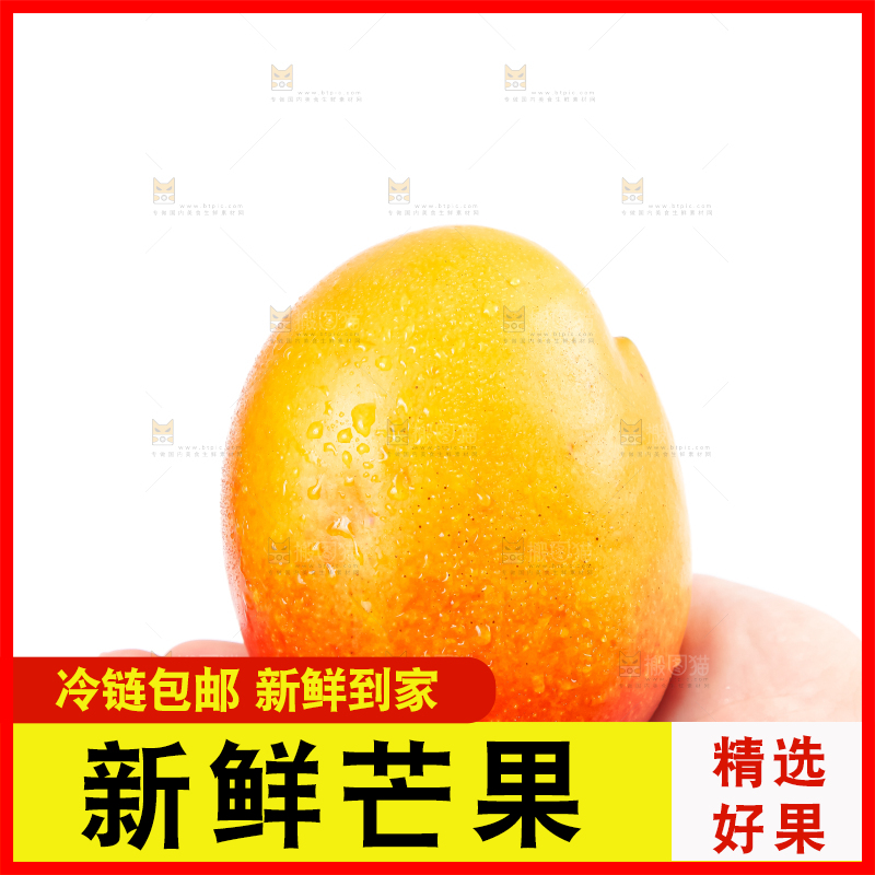 白底上的爱文芒