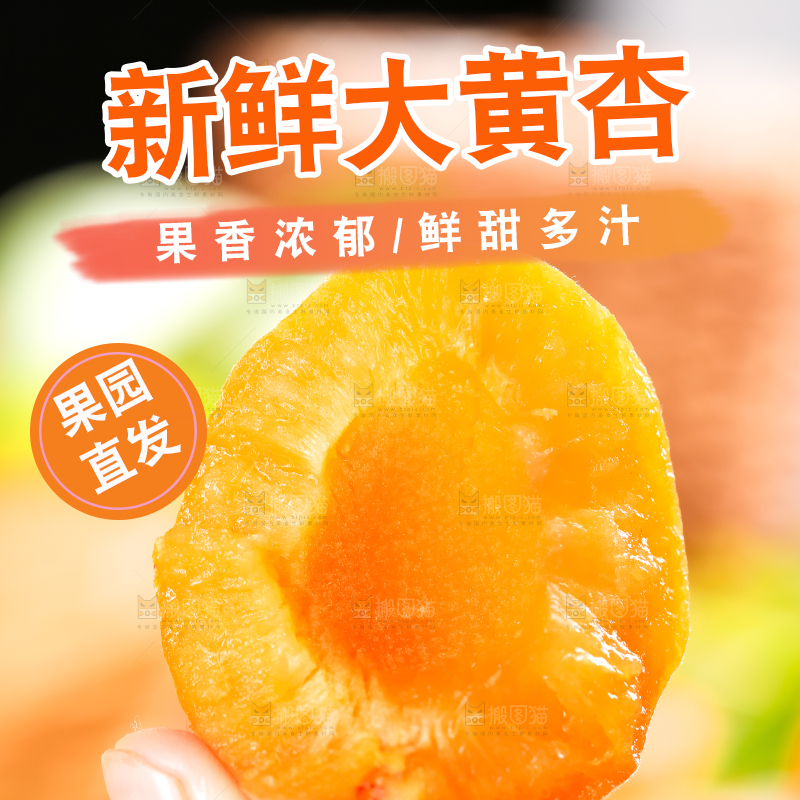 手里拿着陕西大黄杏