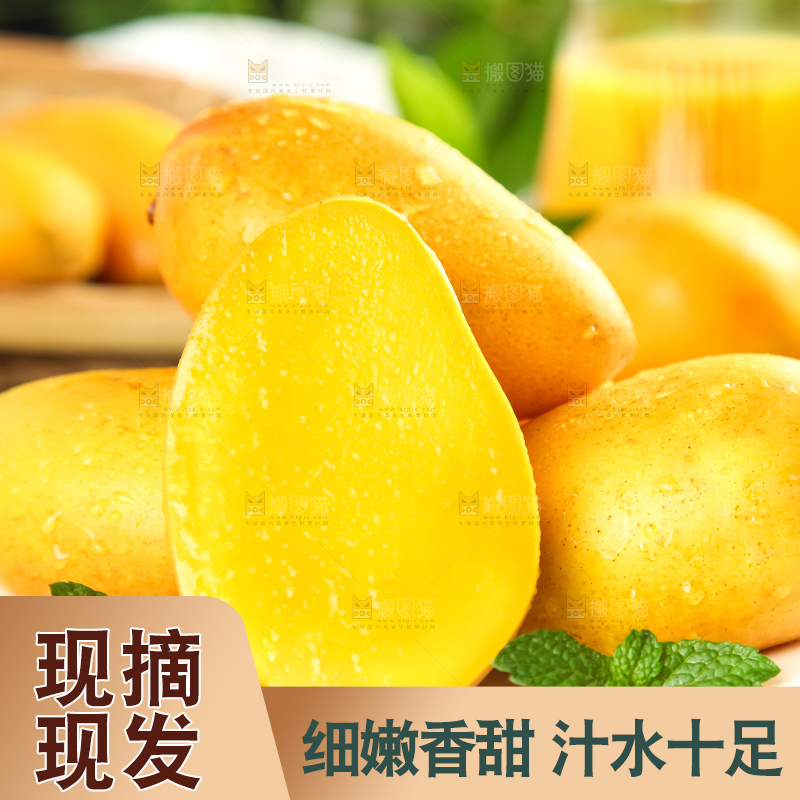 格子底上摆放着小台芒
