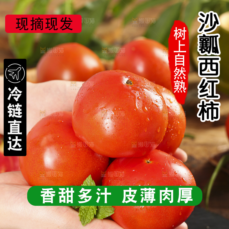 手里拿着沙瓤西红柿