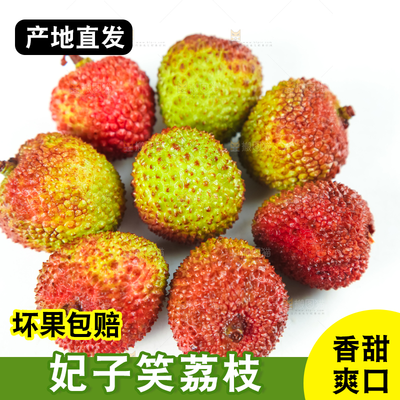白底上摆放着海南妃子笑荔枝
