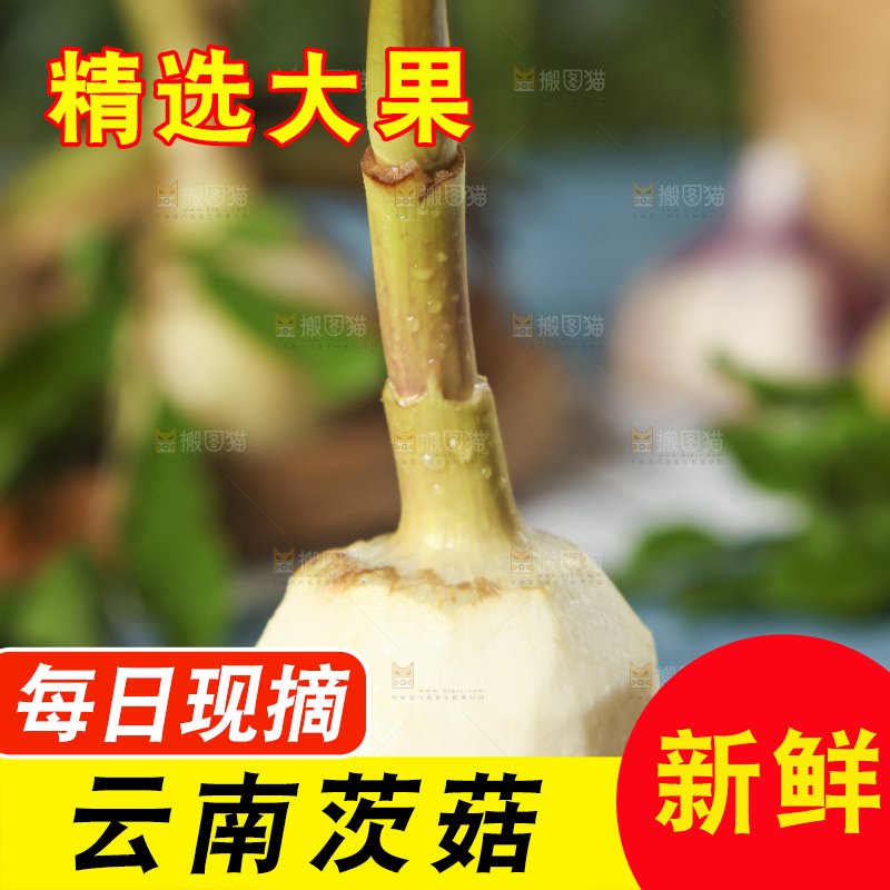 木底上放着燕尾菇