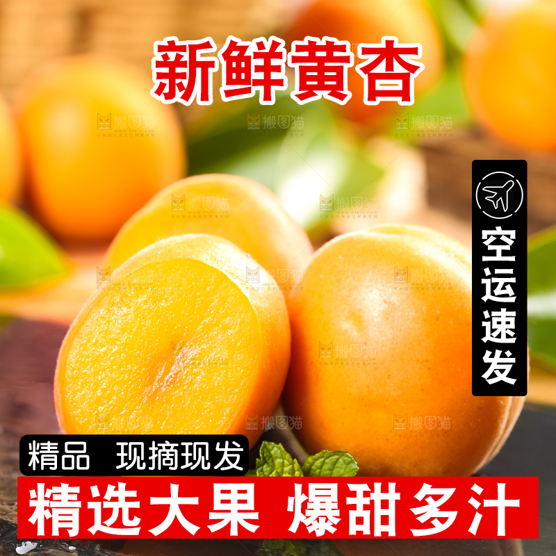 黑底上放着黄杏