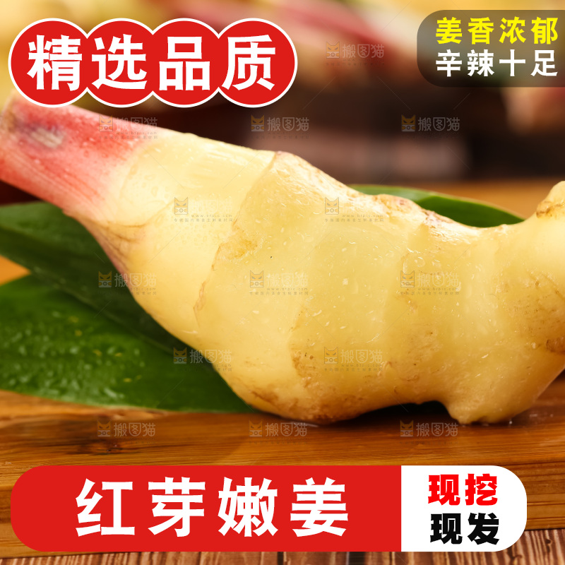 木板上的山东红芽生姜