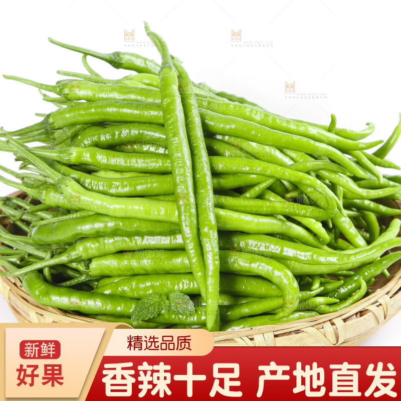 篮子里装着线椒