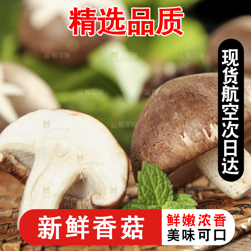 木底上摆放着农家香菇