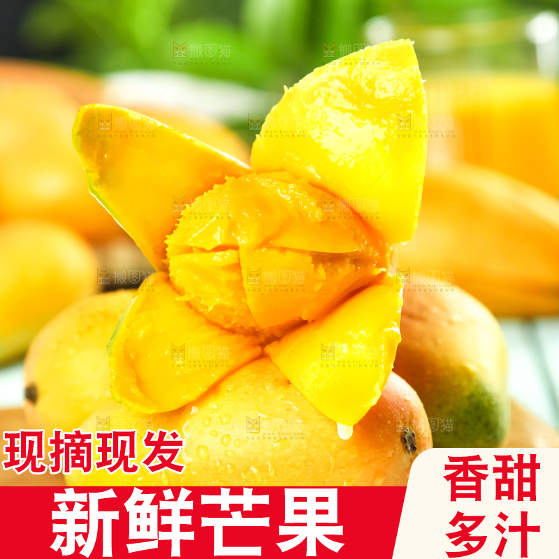 木底上摆放着台农芒