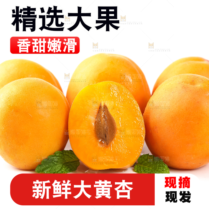 白底上放着陕西新鲜大黄杏