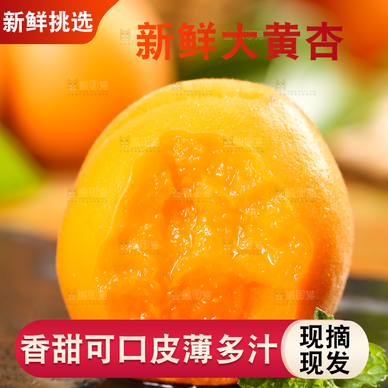 黑底上放着黄杏