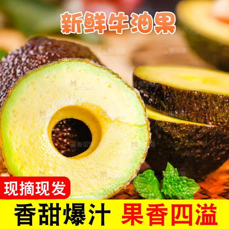浅底上的巨无霸牛油果