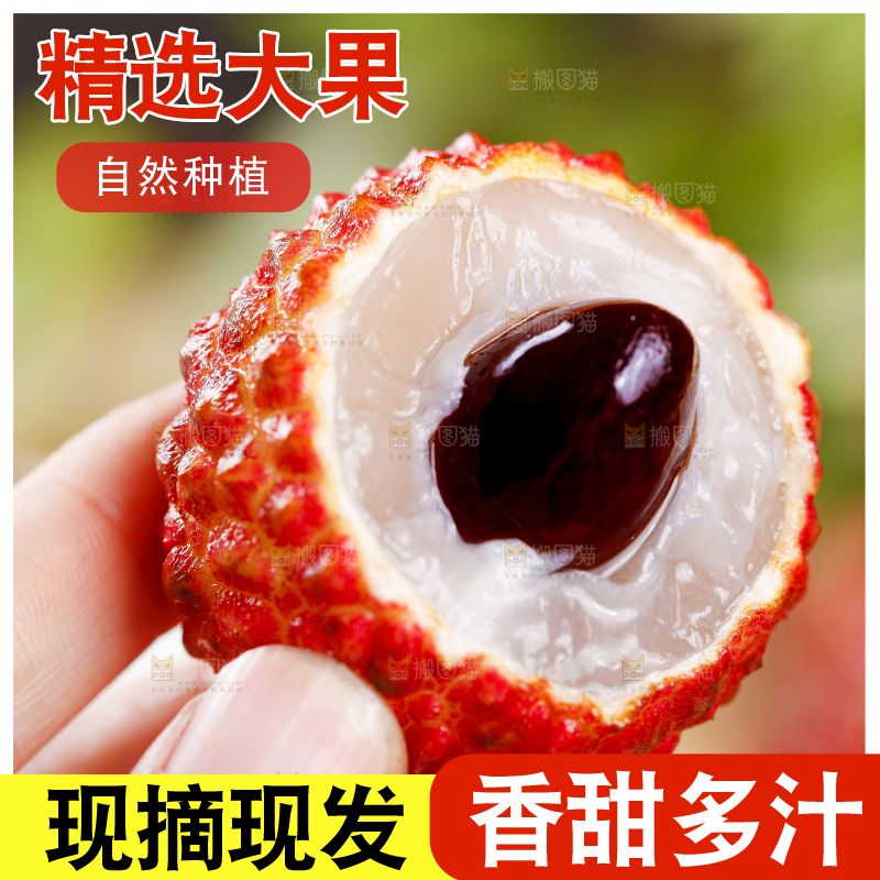 手里拿着火山荔枝王