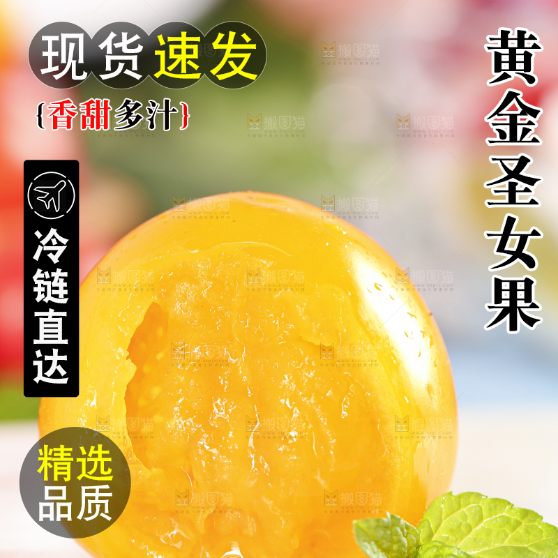 白底上摆放着山东黄金小番茄