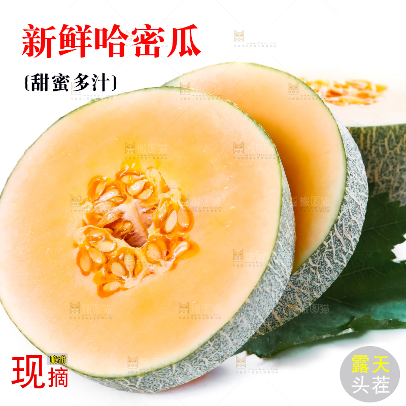 白底上摆放着网纹瓜