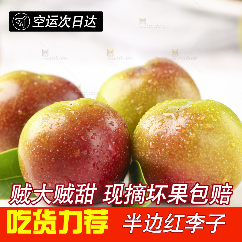 石板上摆放着四川茵红脱骨李