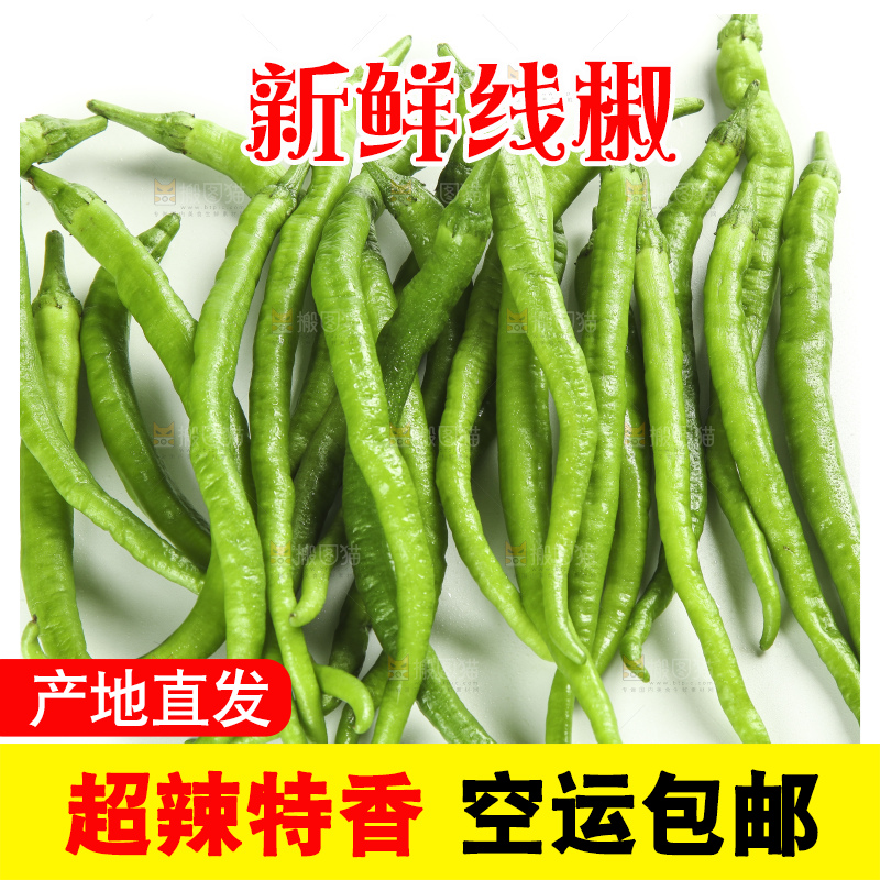 白底上的新鲜青辣椒