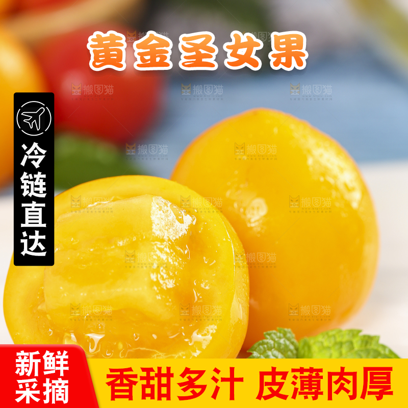 白底上摆放着山东黄金小番茄