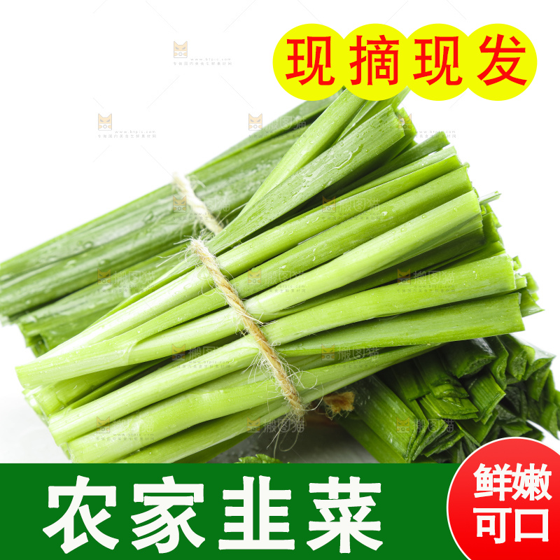 白底上摆放着一把嫩韭菜