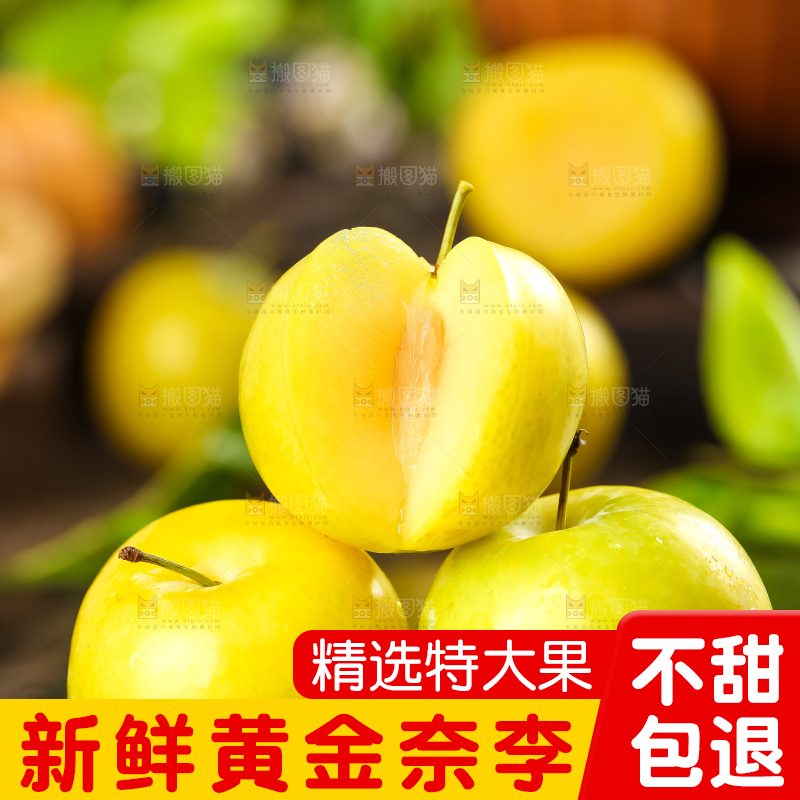 石板上的黄金李子