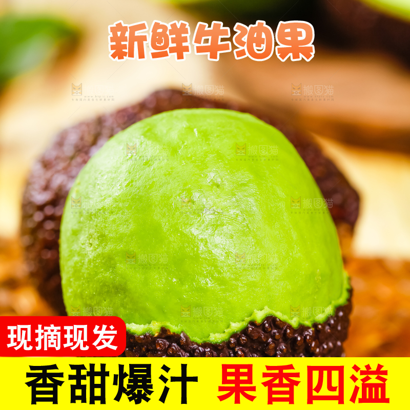 浅底上的巨无霸牛油果