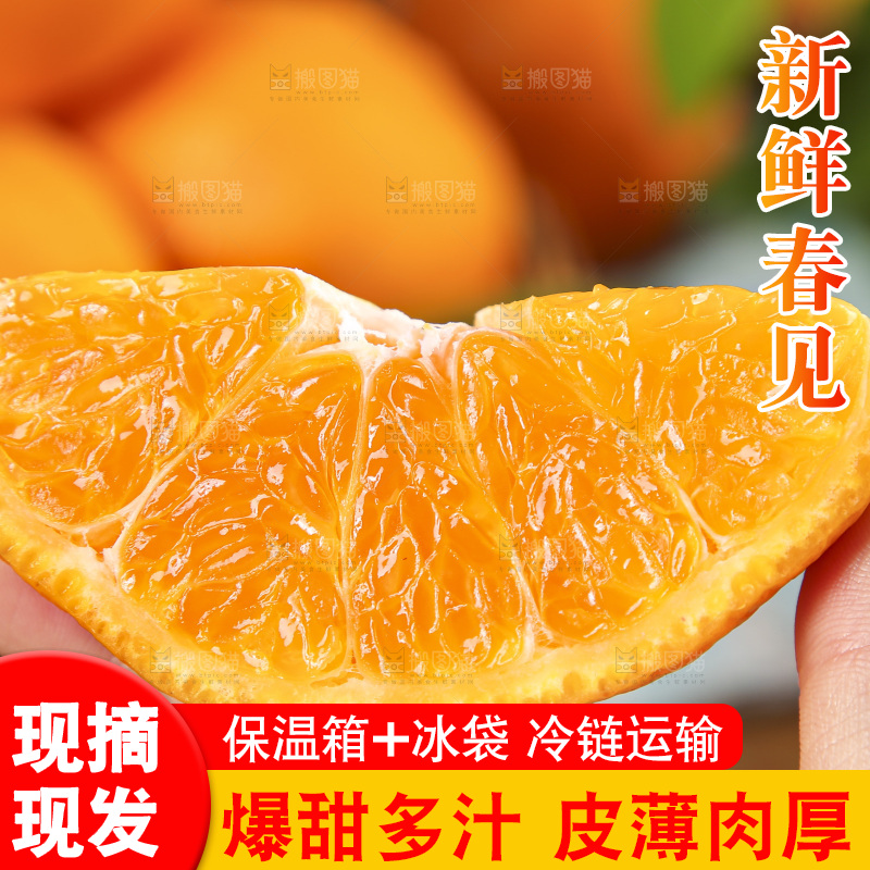 手里拿着四川耙耙柑