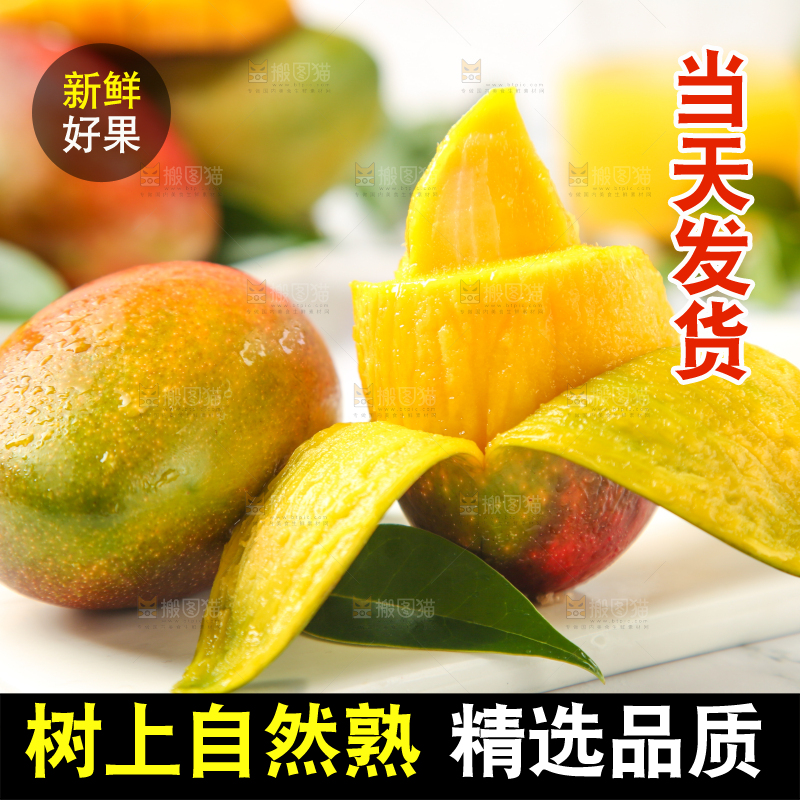 白石板上摆放着四川吉禄芒