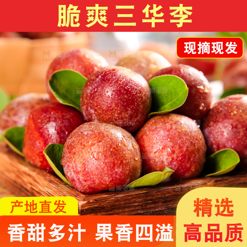 盘子里装着钱排三华李