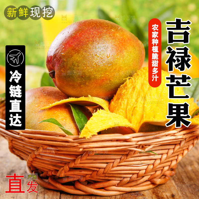 篮子里装着四川吉禄芒
