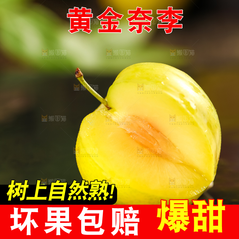 石板上的黄金李子