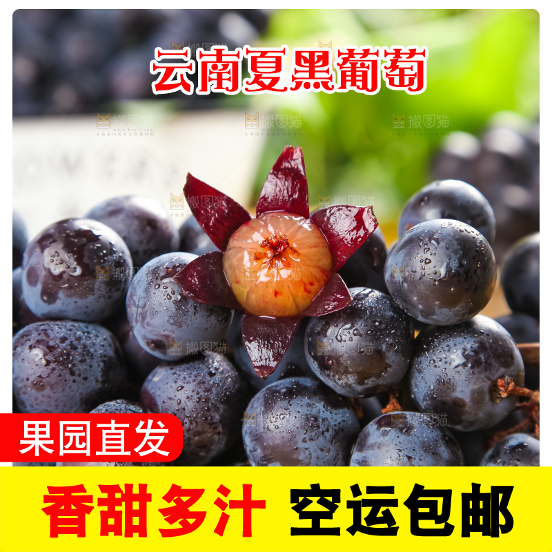 白格子底上放着夏黑葡萄