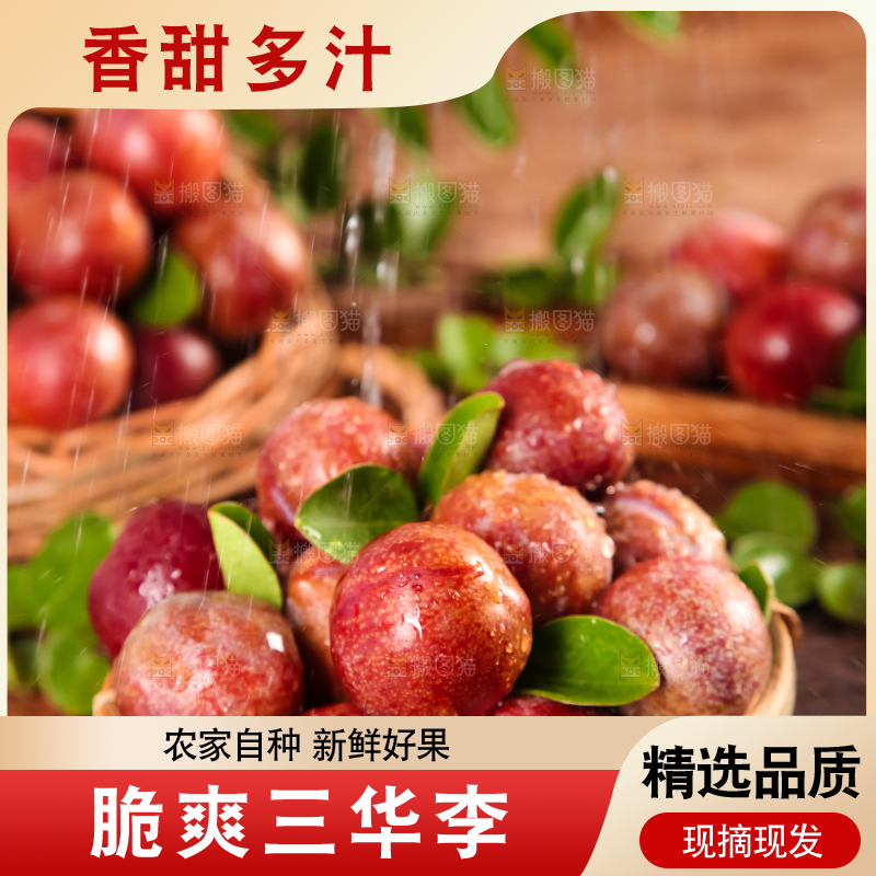 篮子里装着钱排三华李