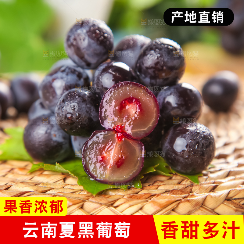 垫子上的云南夏黑无籽葡萄