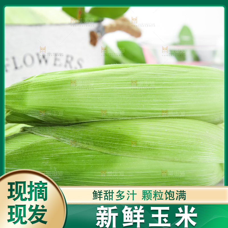 浅底上的牛奶水果玉米