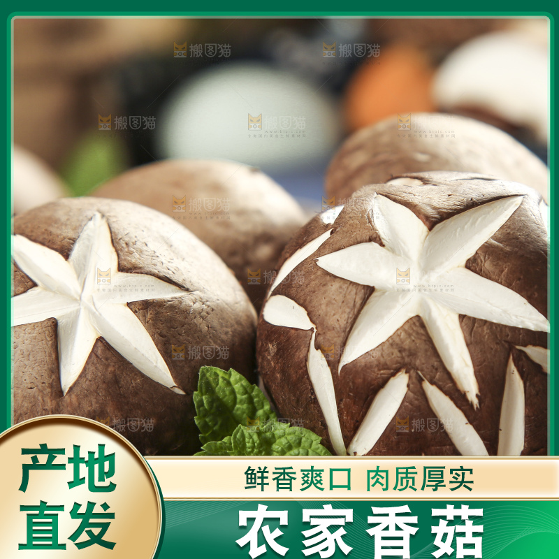 木底上摆放着香菇