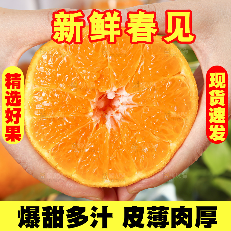 手里拿着四川耙耙柑