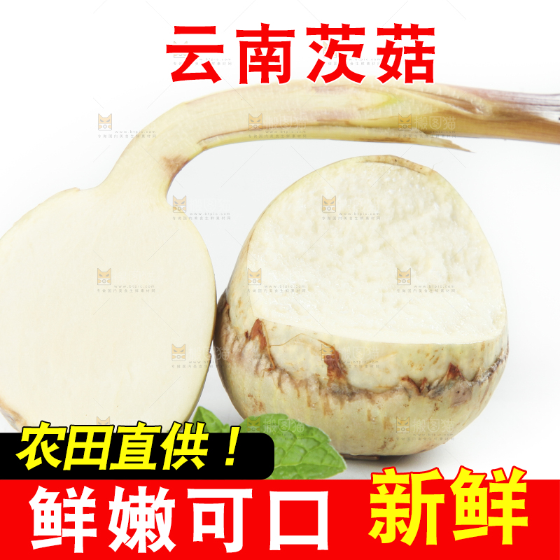 白底上放着茨菇