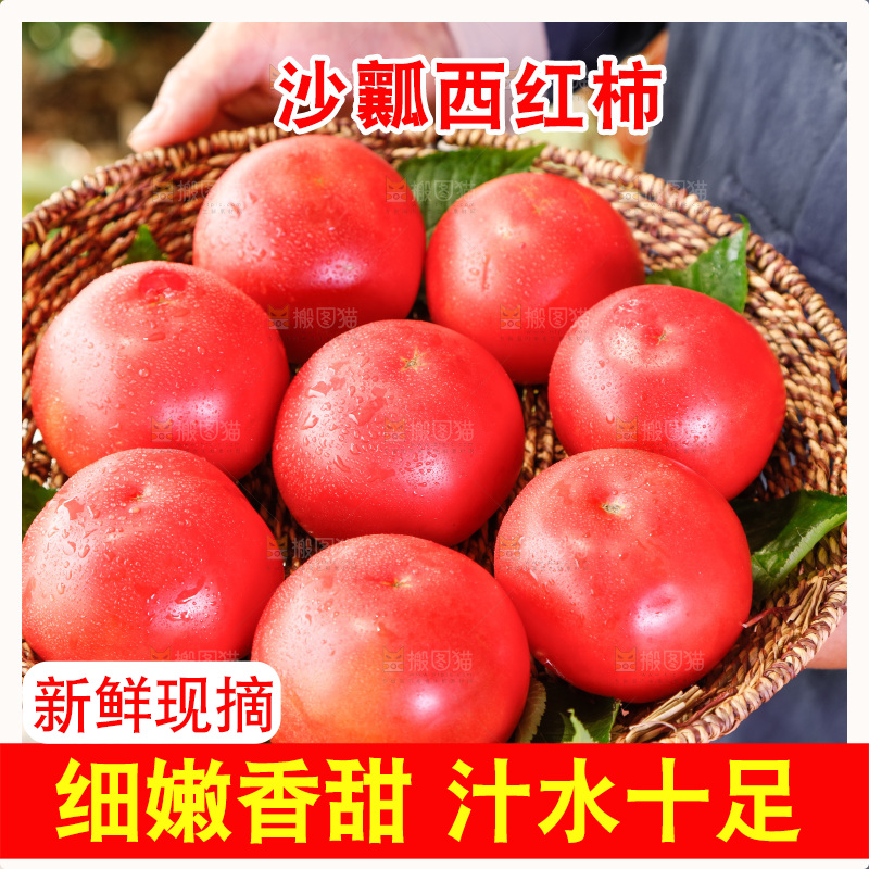 农民手里端着一篮子番茄