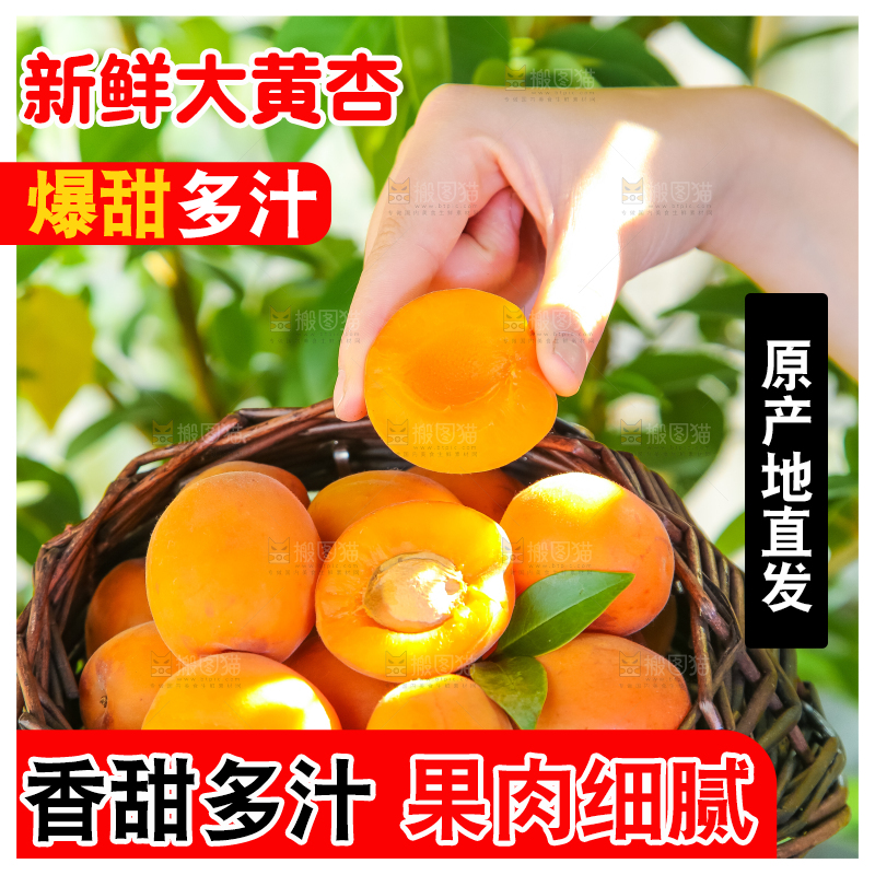 手里拿着一篮大黄杏