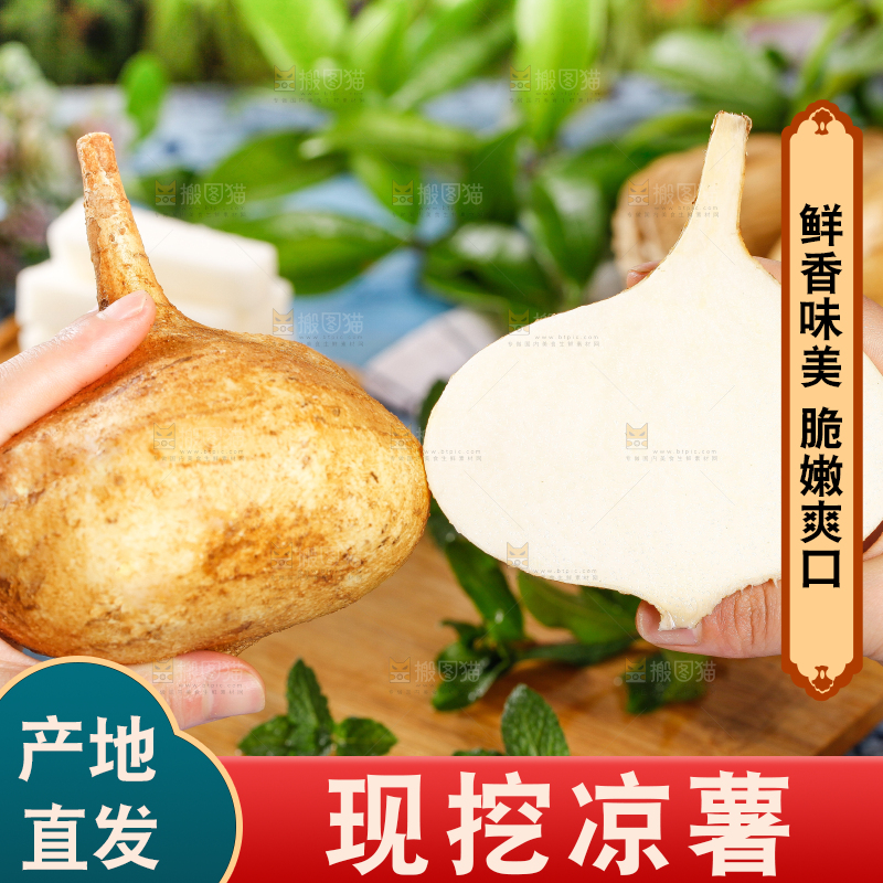 手里拿着凉薯