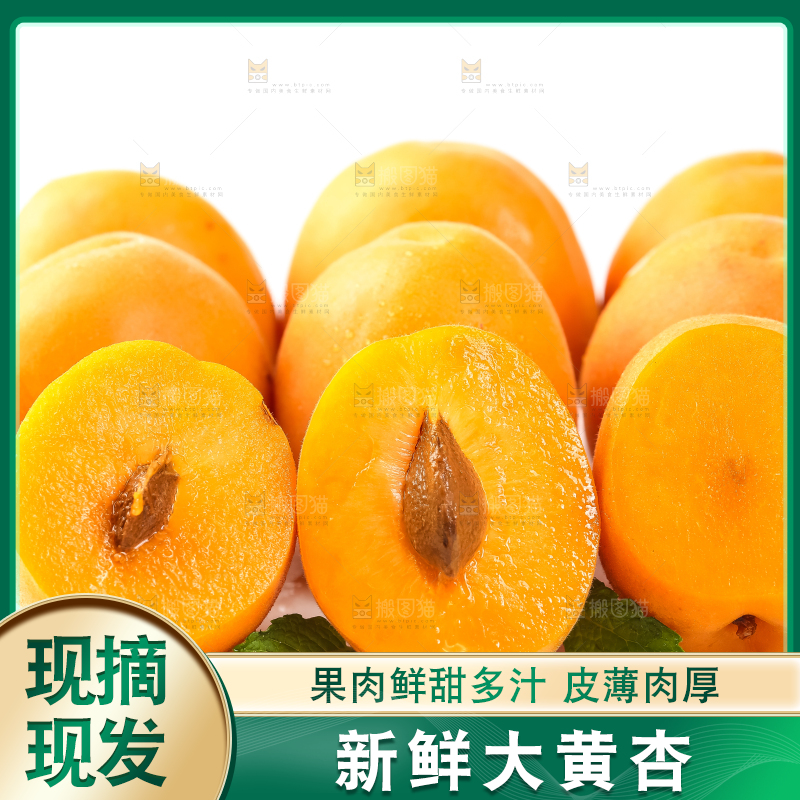 白底上放着陕西新鲜大黄杏
