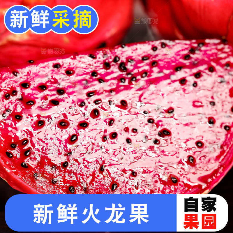 黑石板上摆放着金都红肉火龙果