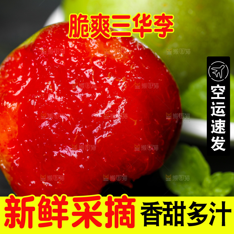 盘子里装着钱排三华李
